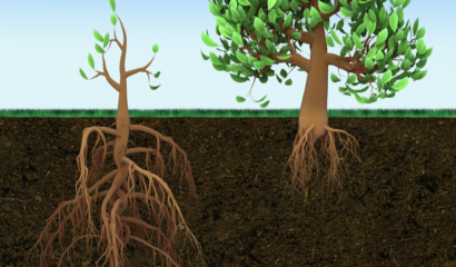 Devils, Details, and The Road to Sustainable Digital Gold