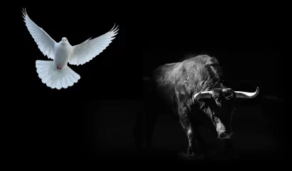 Reserve Bank holds rates steady – where to from here?