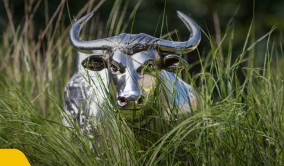 Is It Silver’s turn to Shine?